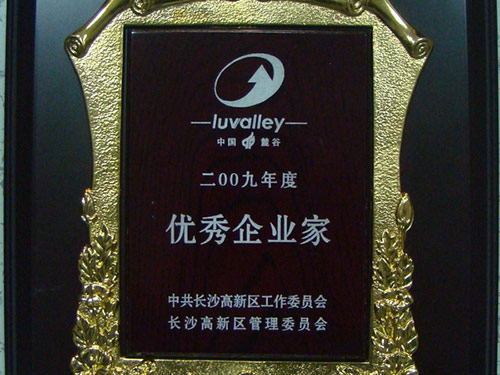 2009年-公司副董事长陈鸿金被评为“长沙高新区优秀企业家”
